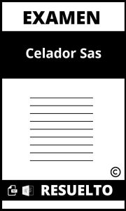 Examen De Celador Sas