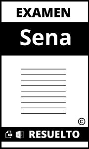 Examen Del Sena Resuelto