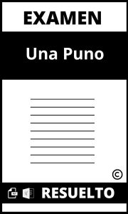 Examen Una Puno